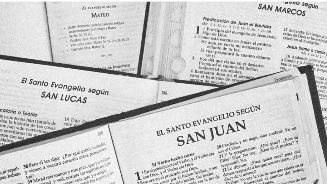 VII- Evangelios